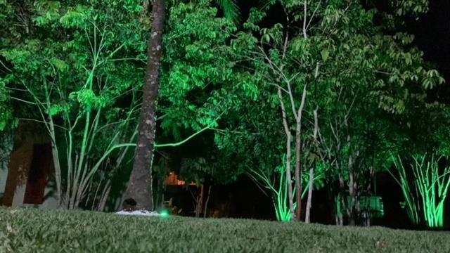 Bons Ventos Camping E Glamping Barra Grande  Kültér fotó